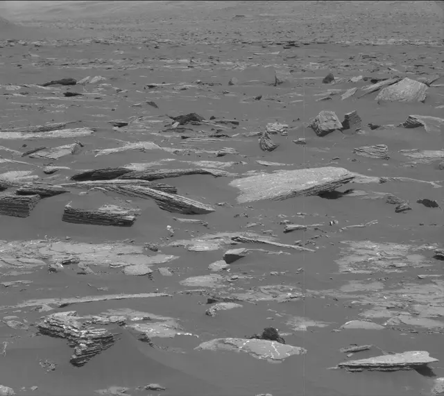 Sol 1643: Mast Camera (Mastcam)