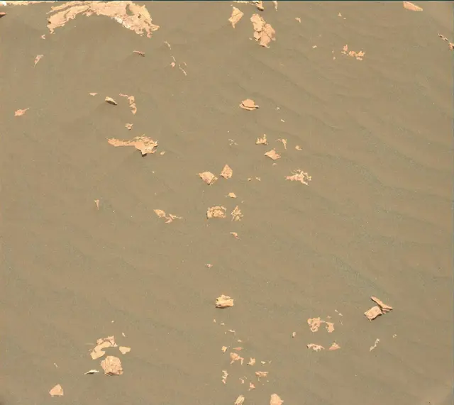Sol 1643: Mast Camera (Mastcam)