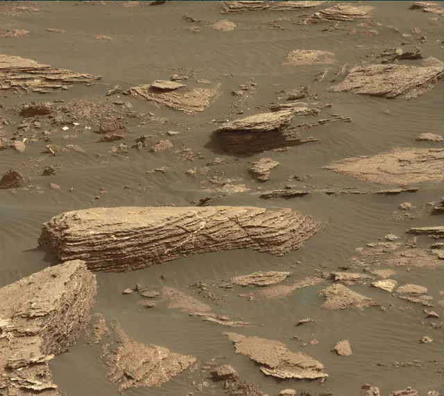 Sol 1646: Mast Camera (Mastcam)