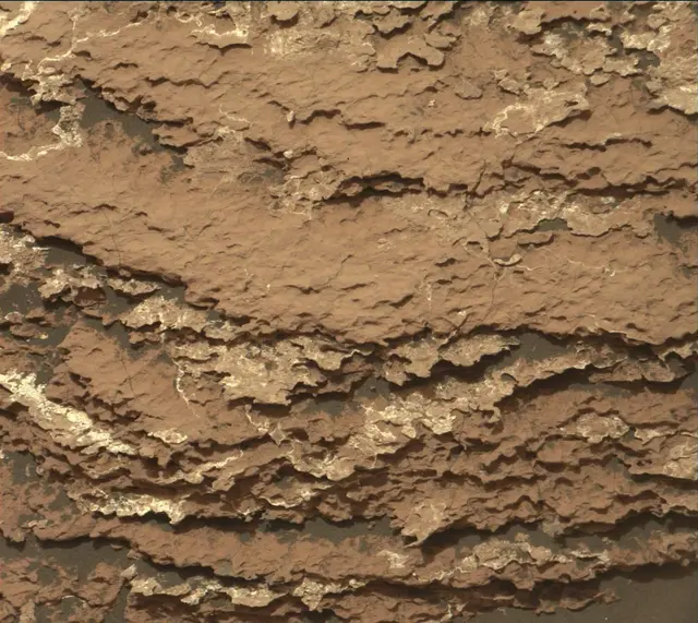 Sol 1646: Mast Camera (Mastcam)