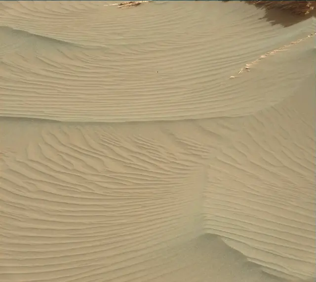 Sol 1647: Mast Camera (Mastcam)