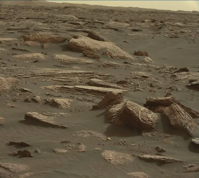 Sol 1648: Mast Camera (Mastcam)
