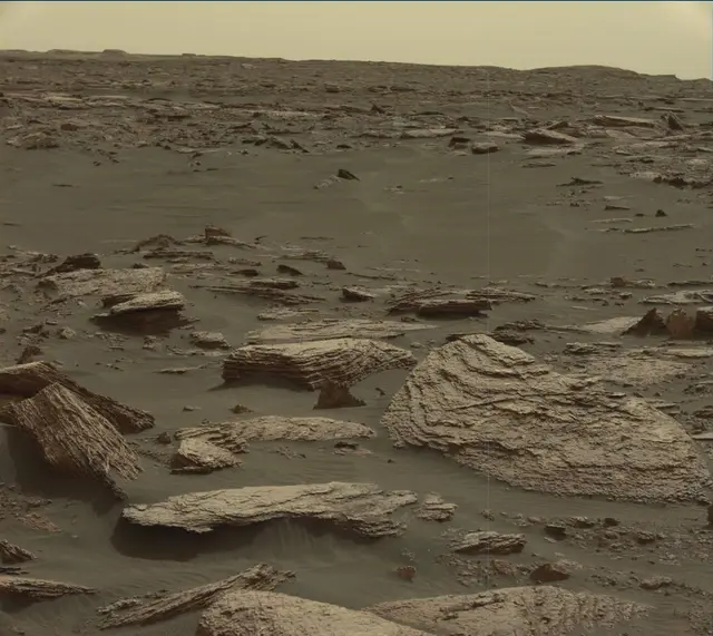 Sol 1648: Mast Camera (Mastcam)