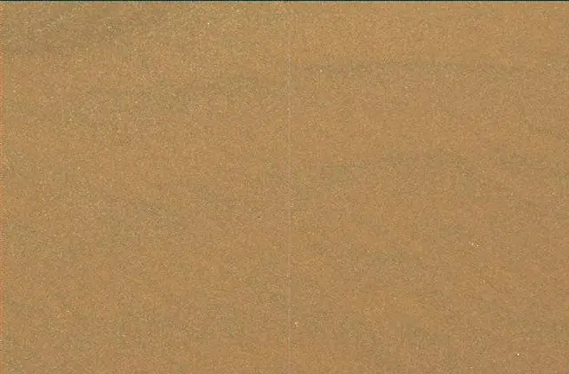 Sol 1648: Mast Camera (Mastcam)