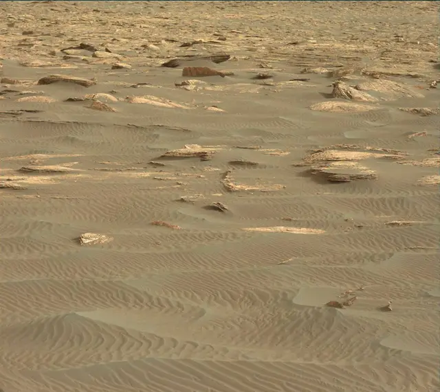 Sol 1659: Mast Camera (Mastcam)