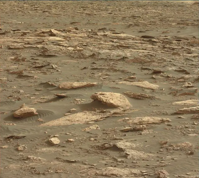 Sol 1659: Mast Camera (Mastcam)