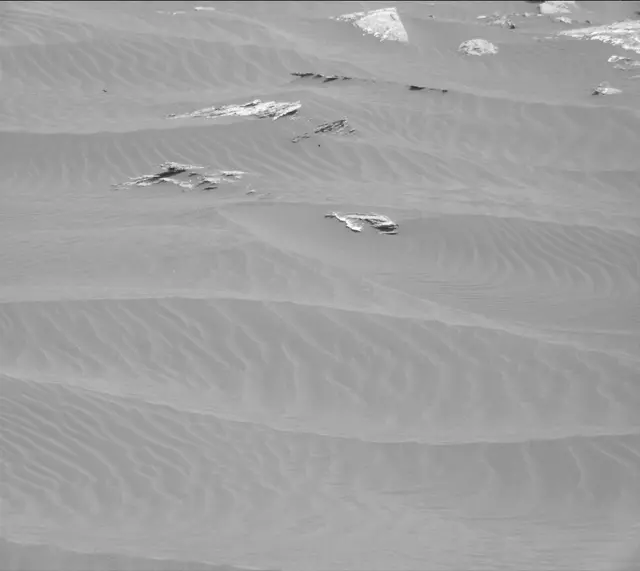 Sol 1659: Mast Camera (Mastcam)