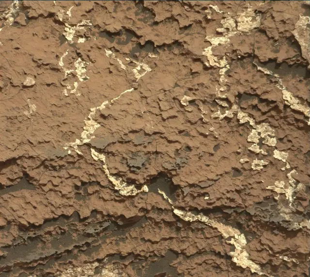 Sol 1661: Mast Camera (Mastcam)