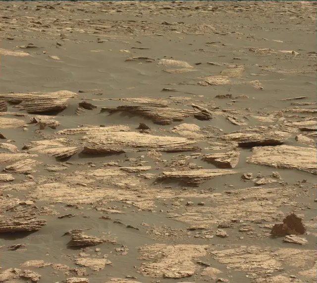 Sol 1662: Mast Camera (Mastcam)