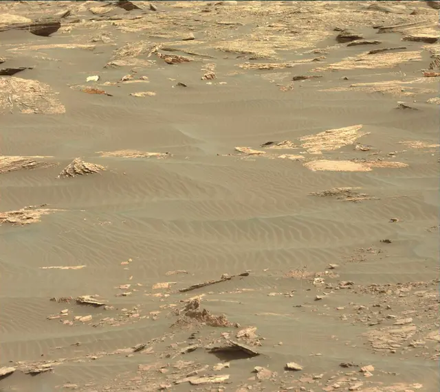 Sol 1664: Mast Camera (Mastcam)