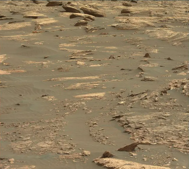 Sol 1664: Mast Camera (Mastcam)