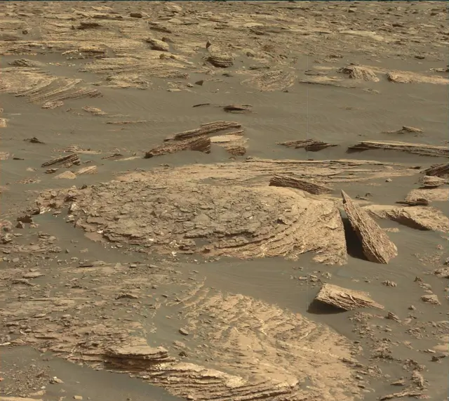 Sol 1664: Mast Camera (Mastcam)