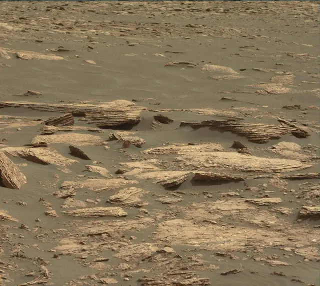 Sol 1664: Mast Camera (Mastcam)