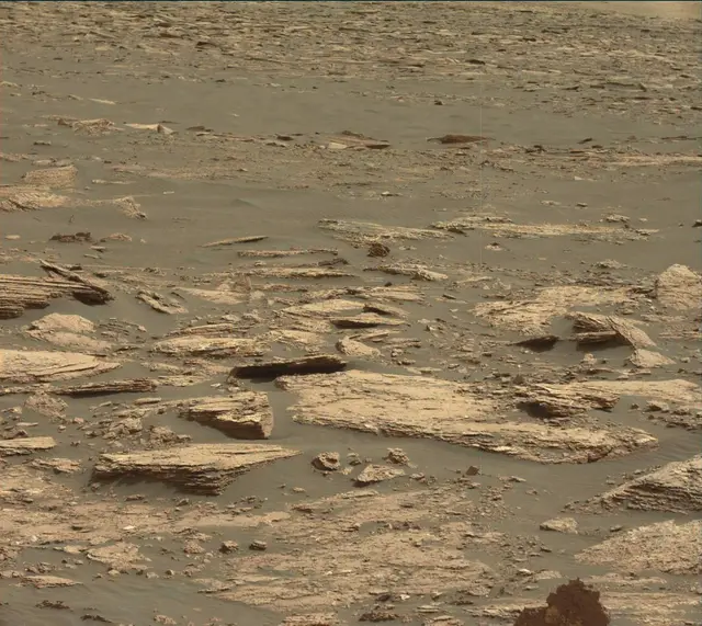Sol 1664: Mast Camera (Mastcam)