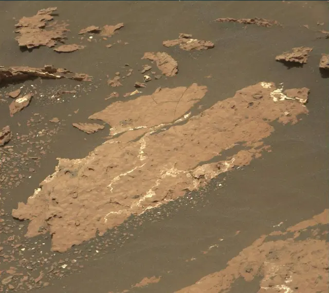 Sol 1664: Mast Camera (Mastcam)