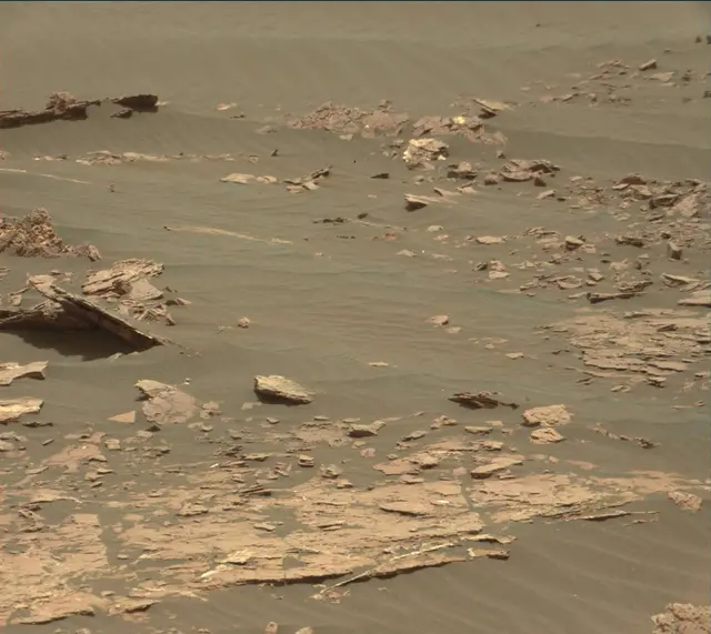 Sol 1664: Mast Camera (Mastcam)
