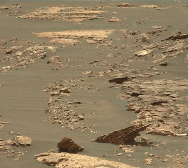 Sol 1664: Mast Camera (Mastcam)