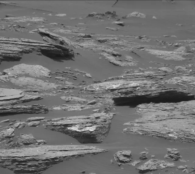 Sol 1664: Mast Camera (Mastcam)
