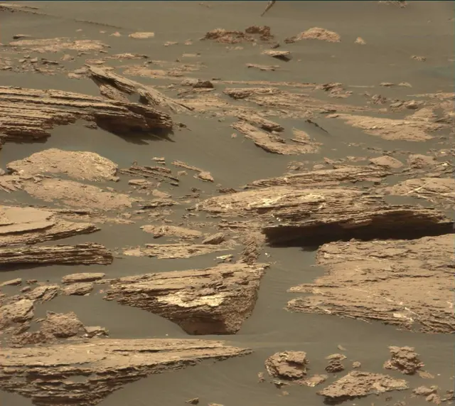 Sol 1664: Mast Camera (Mastcam)