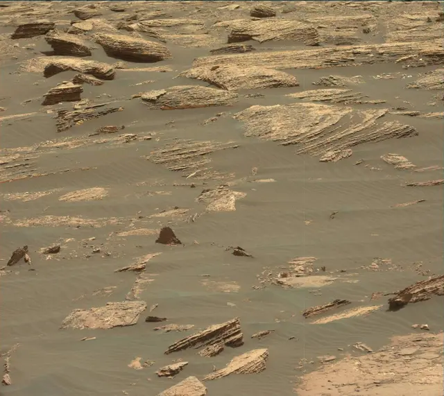 Sol 1666: Mast Camera (Mastcam)