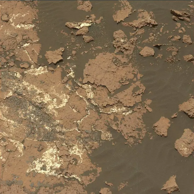 Sol 1666: Mast Camera (Mastcam)