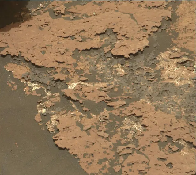 Sol 1666: Mast Camera (Mastcam)