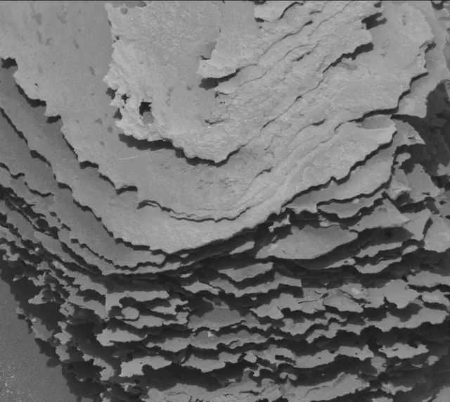 Sol 1686: Mast Camera (Mastcam)