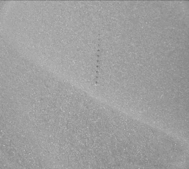 Sol 1688: Mast Camera (Mastcam)