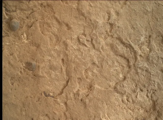 Sol 1702: Mars Hand Lens Imager (MAHLI)
