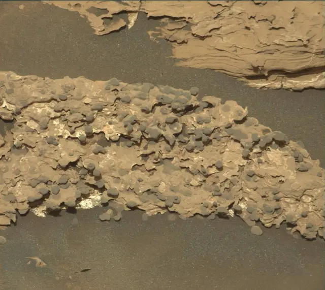 Sol 1718: Mast Camera (Mastcam)