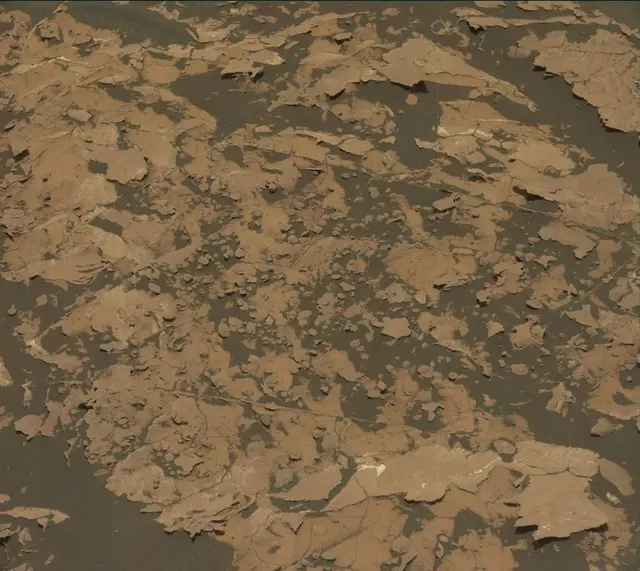 Sol 1729: Mast Camera (Mastcam)