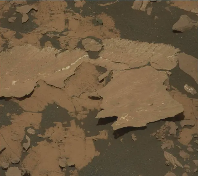 Sol 1729: Mast Camera (Mastcam)
