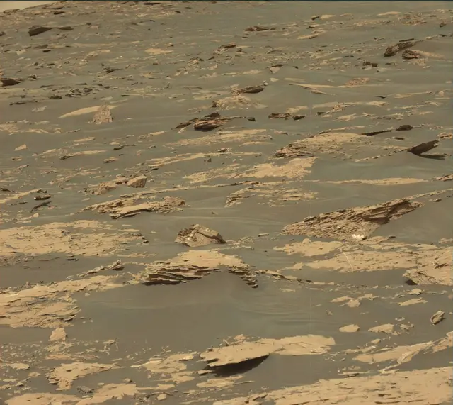 Sol 1730: Mast Camera (Mastcam)