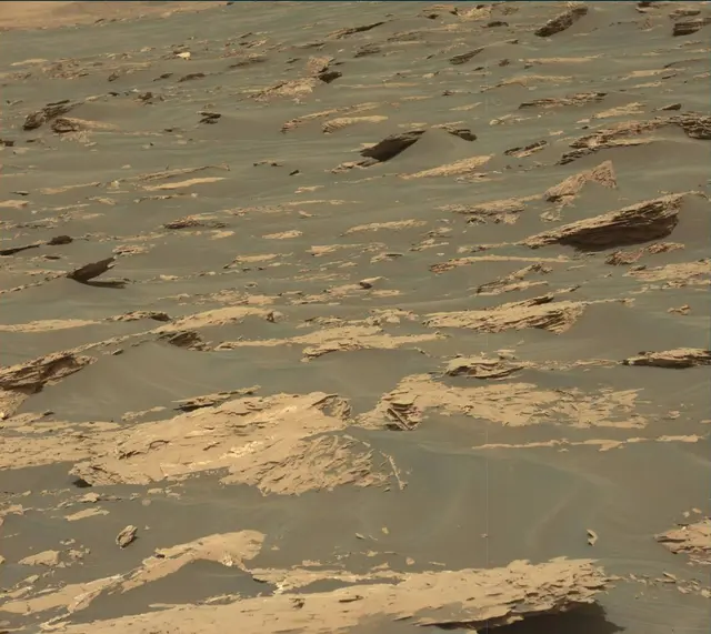 Sol 1730: Mast Camera (Mastcam)