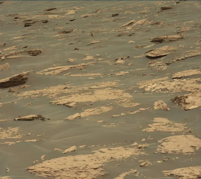 Sol 1730: Mast Camera (Mastcam)
