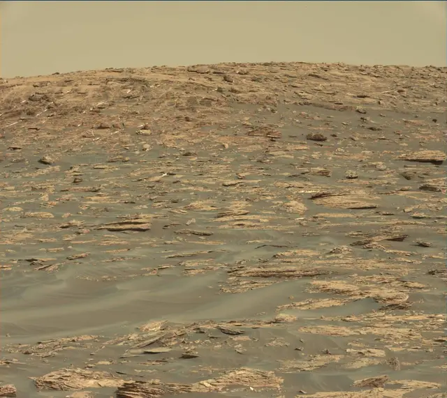 Sol 1732: Mast Camera (Mastcam)