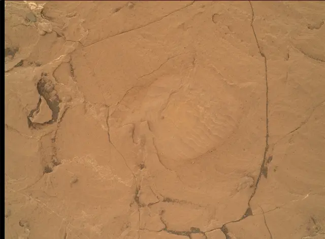 Sol 1736: Mars Hand Lens Imager (MAHLI)