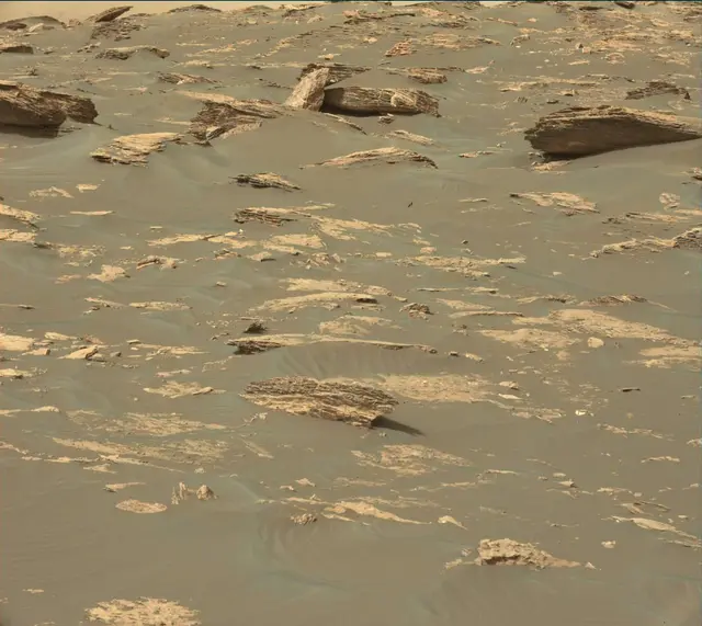 Sol 1739: Mast Camera (Mastcam)
