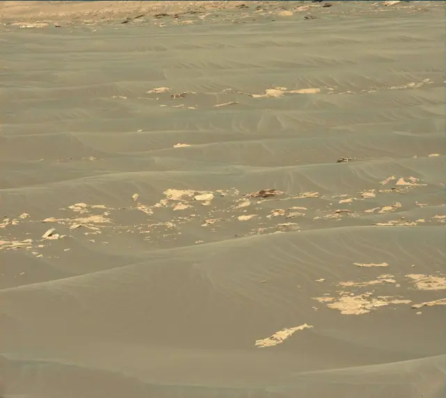 Sol 1739: Mast Camera (Mastcam)