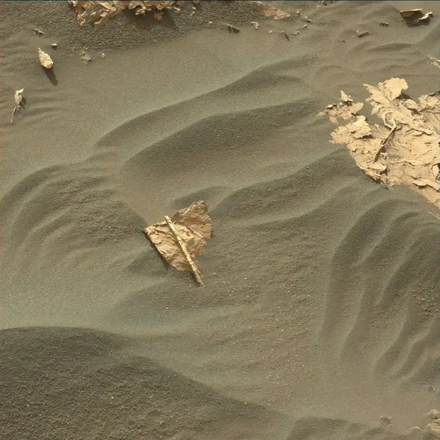 Sol 1754: Mast Camera (Mastcam)