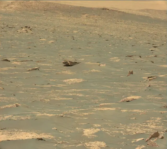 Sol 1782: Mast Camera (Mastcam)