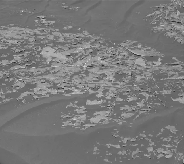 Sol 1787: Mast Camera (Mastcam)