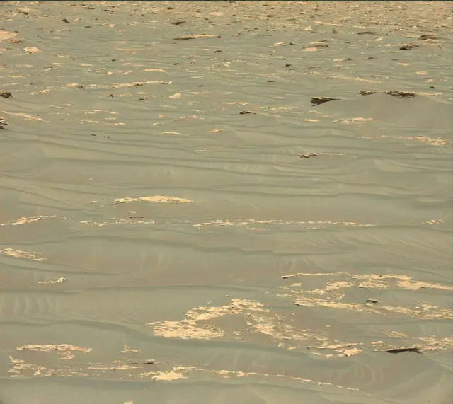 Sol 1788: Mast Camera (Mastcam)