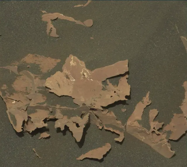Sol 1790: Mast Camera (Mastcam)