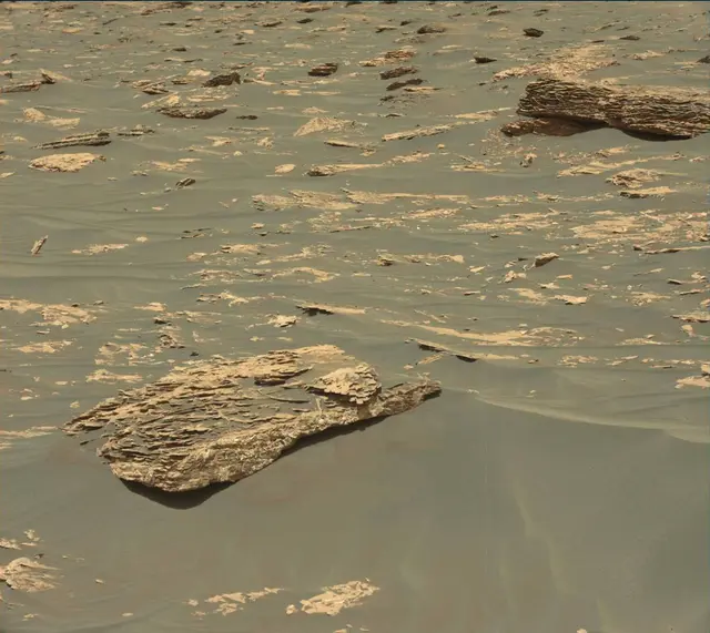 Sol 1794: Mast Camera (Mastcam)