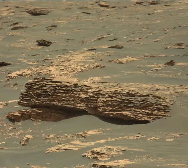 Sol 1795: Mast Camera (Mastcam)