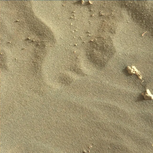 Sol 1795: Mast Camera (Mastcam)