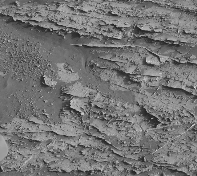 Sol 1802: Mast Camera (Mastcam)