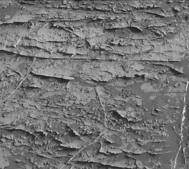 Sol 1802: Mast Camera (Mastcam)