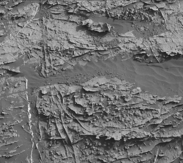 Sol 1802: Mast Camera (Mastcam)